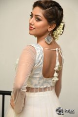 Anu Emmanuel at Kittu Unnaadu Jagratha Movie Gummadikaya Function